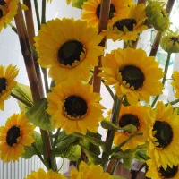 گلهای آفتابگردان با گلدان چوبی