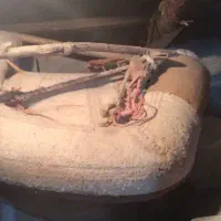 پالان اسب نو