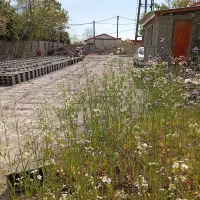 2نفرکارگر پیمانه گیر برای بلوک زنی در لشت نشا