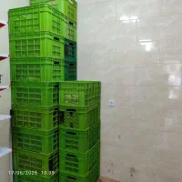 سبد مرغ