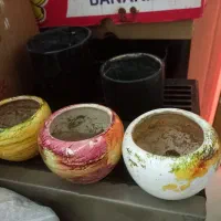 گلدان ها یکجا بفروش میرسد