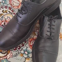 کفش مجلسی مردانه نو