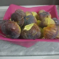 درجه یک وتازه چین موجوده