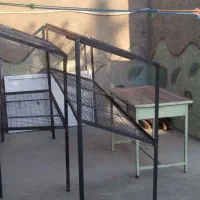تخته میوه فروشی
