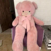 خرس|اسباب‌‌بازی|شیراز, گود خزینه|دیوار