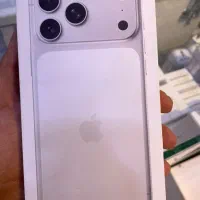 17pro max 256 silver not