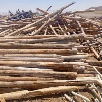 خرید چوب ضایعات باغی خشک سقفی و صنوبر شال