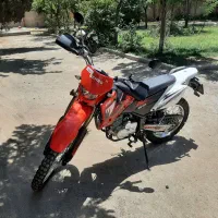 تریل بهرو در حد