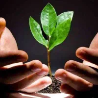 ترک اعتیاد ۱۰۰ درصد تضمینی