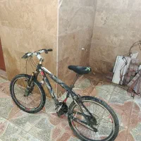 دوچرخه سرحال