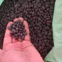 فروش لوبیا سیاه نخود سیاه