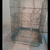 قفس پرنده