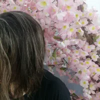 کوتاهی رایگان مو