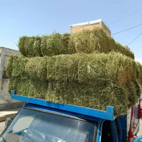 خرید و فروش انواع یونجه در ملایر