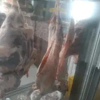 قصابی قربانی