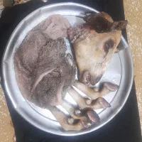 کله پاچه بز جوان تازه سفید کرده