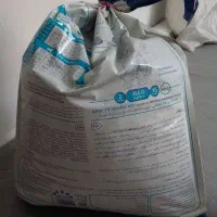 غذای سگ پاکوتاه
