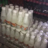 دوغ کوچک و بزرگ به قیمت عمده برای مراسمات