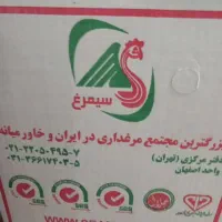 پخش تخم مرغ