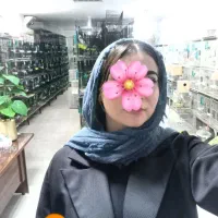 جوجه کایک قفس طوطی کوتوله عروس لوری ملنگوقناری فنچ