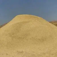کاه گندوم