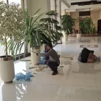 باغبانی سم پاشی وهرس کاری باغچه وگلدون