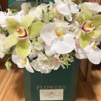 خوابگاه دخترانه ماوا با مجوز رسمی تجریش