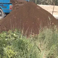 کود حیوانی