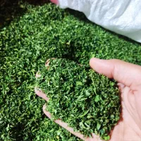 فروش نعنا ‌.شوید. شنبلیله . زعفران