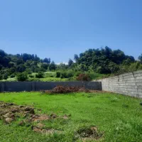 فروش زمین با کاربری مسکونی دیوار کشی پلاک یک جنگل