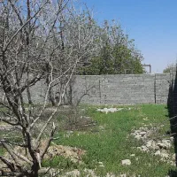 باغ-باغچه-زمین-230-متری-اقاقیا-دوم