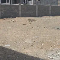زمین 300 متری برنیان