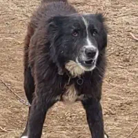 میکس سراب قدرجونی