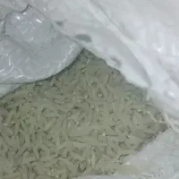 برنج طارم دمسیاه پارساله
