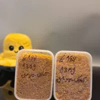 پت شاپ برفی
