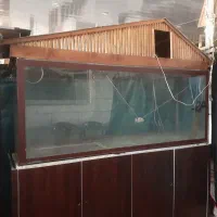 فروش آکواریوم خانگی
