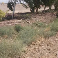 زمین-بلوار-خاتمی-کوچه-132-بلوار-رو-ب-رو-پارک-دیلم