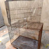 دوعددقفس پرنده
