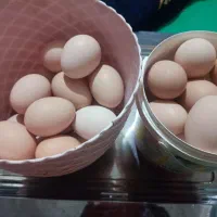 تخم مرغ محلی