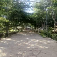 باغچه ۹۰۰ متری با ۶۰ متر بنا توس ۹۷