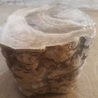 تعدادی سنگ خواص و شهابسنگ به قیمت توافقی