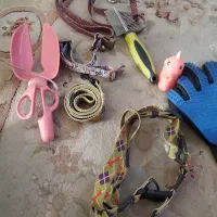 لوازم جانبی سگ