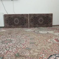 ۳جفت پشتی