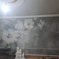 پرده زبرا