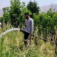 خورشید پنل  پمپ