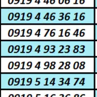 0919.4841404|سیمکارت|کرج, بنیاد|دیوار