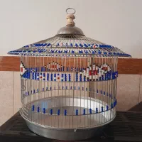 قفس سهره خاکی وسهره قناری