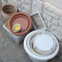 گلدان|گل و گیاه طبیعی|رضویه, |دیوار