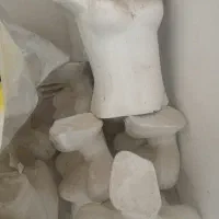 مانکن