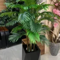 درختچه ۵ تنه